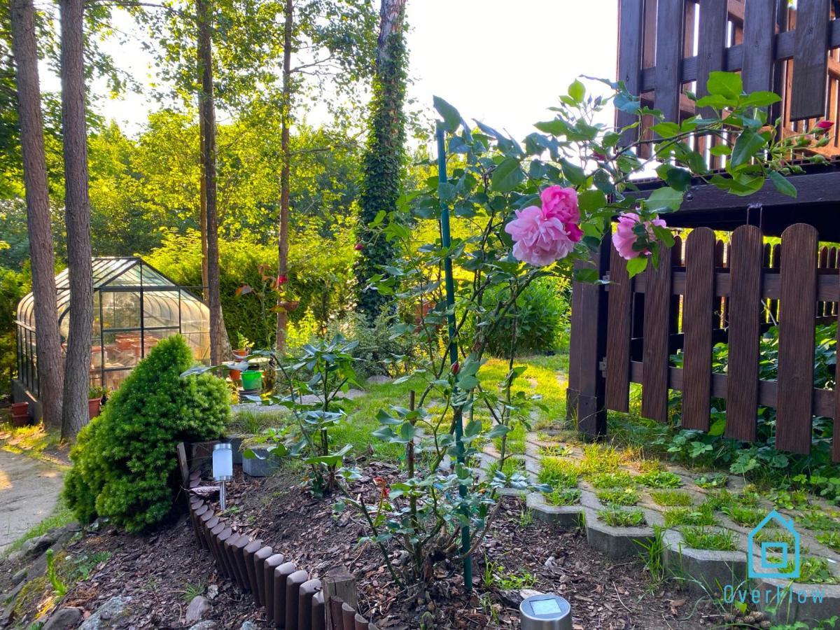 Holibobos Year Round Cottage In Kamien By The Lake Only 30 Minutes From Gdansk And Gdynia ภายนอก รูปภาพ